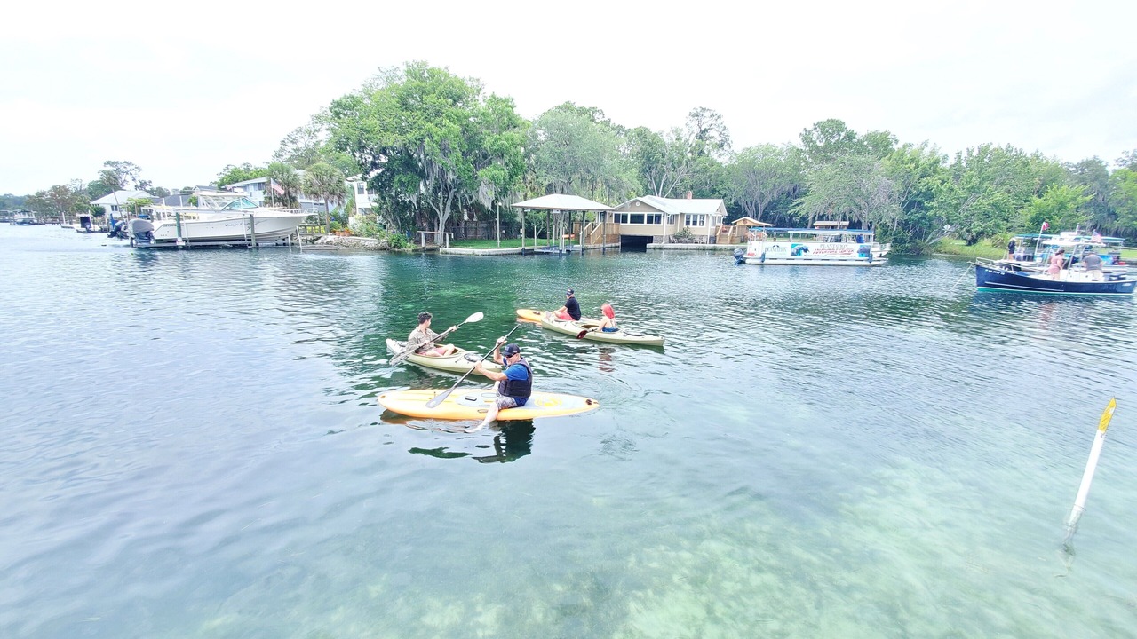 Photo of Others in Springs at Kings Bay