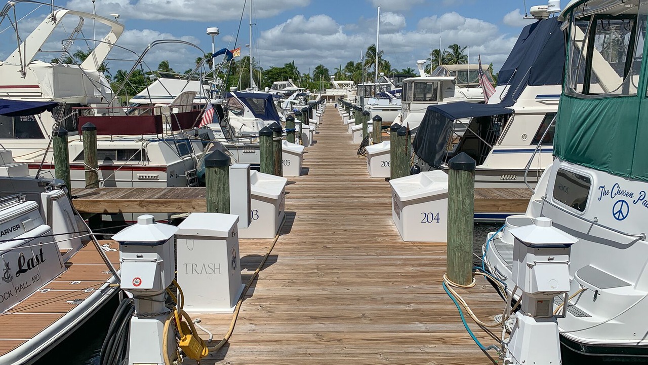 Photo of Others in Cape Harbour