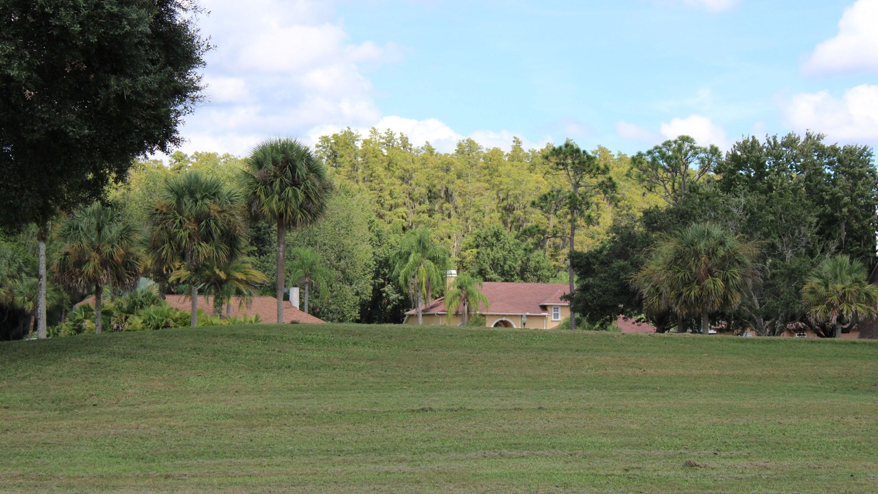 Photo of Outdoor in Wesley Chapel