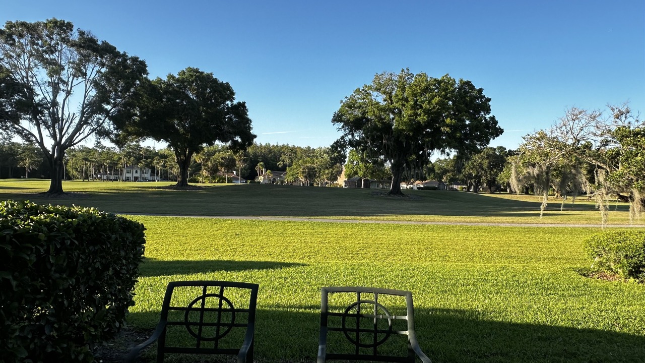 Photo of Outdoor in Wesley Chapel