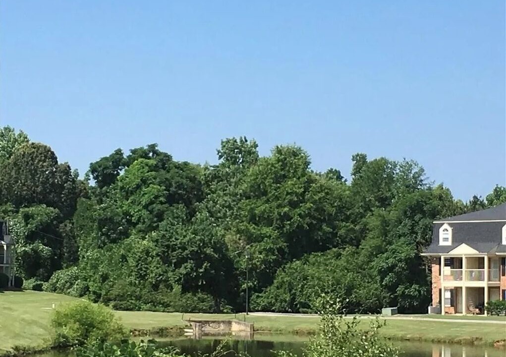 Photo of Outdoor in Auburn