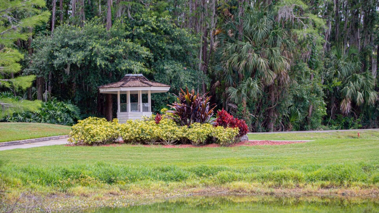 Photo of Others in Wesley Chapel