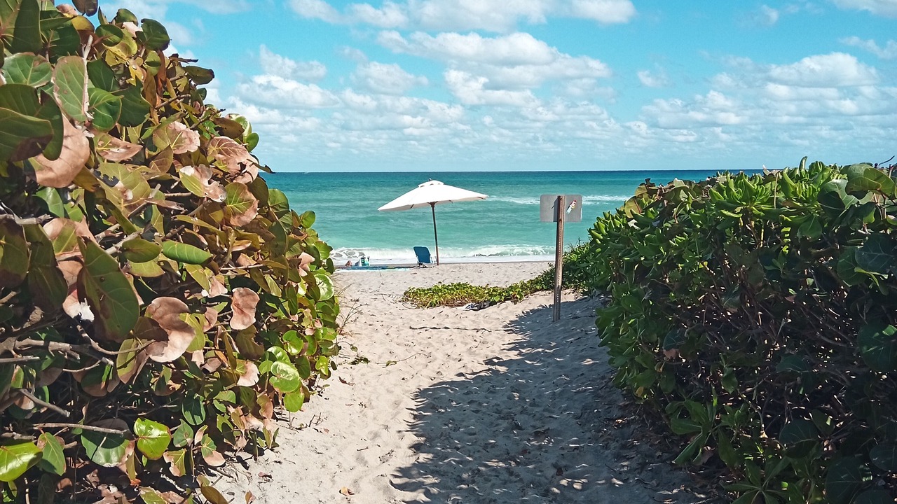 Photo of Others in Florida North Atlantic Coast