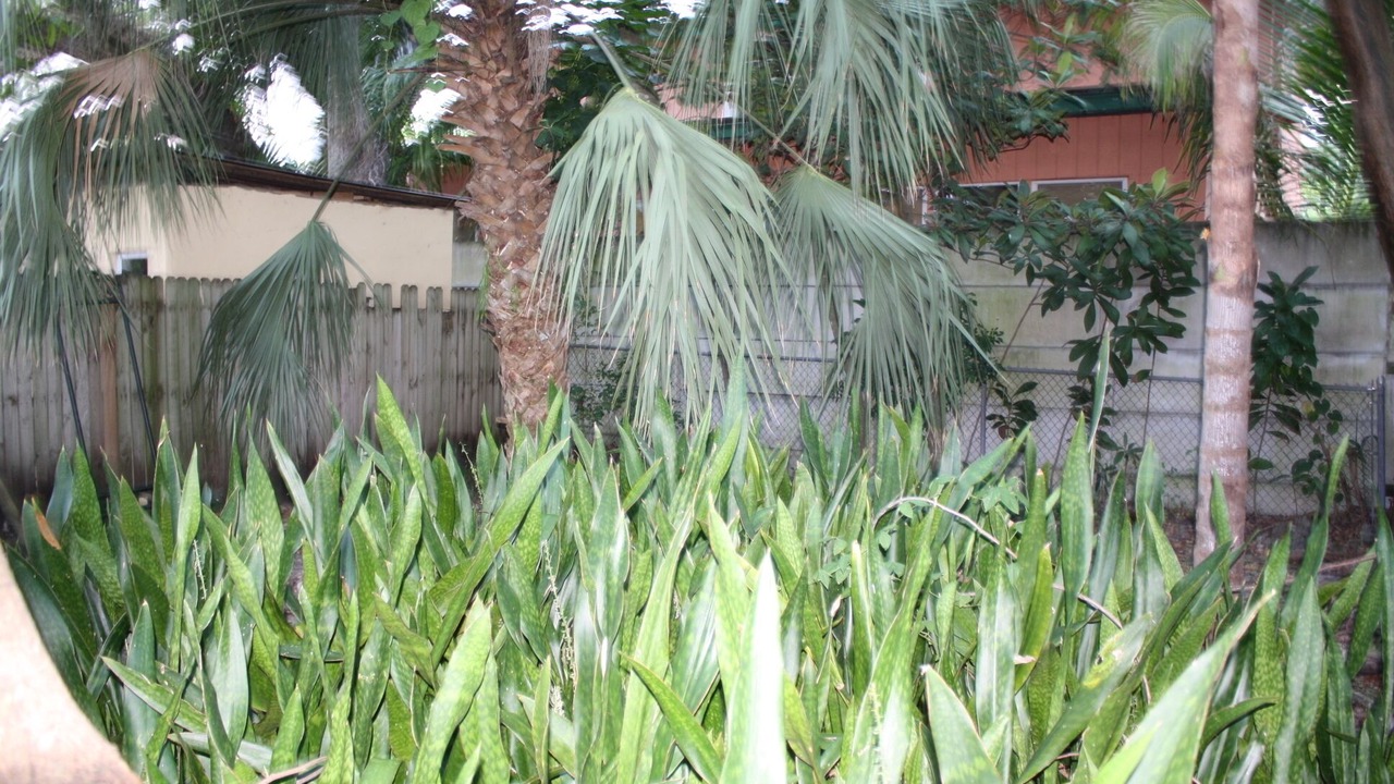 Photo of Others in Southwest Coconut Grove