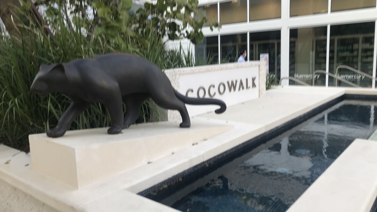 Photo of Outdoor in Southwest Coconut Grove