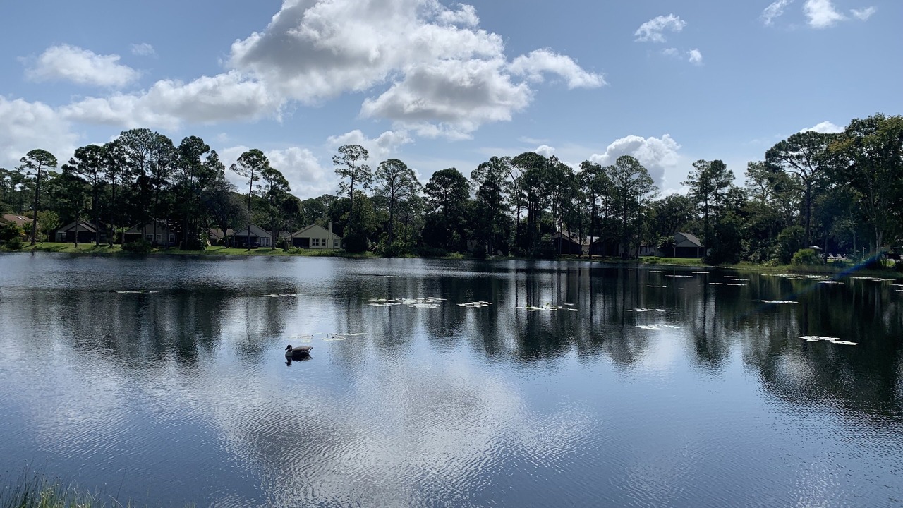 Photo of Outdoor in Sanford