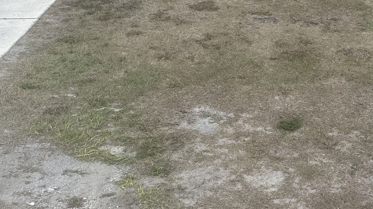 Photo of Outdoor in Buckhead Ridge