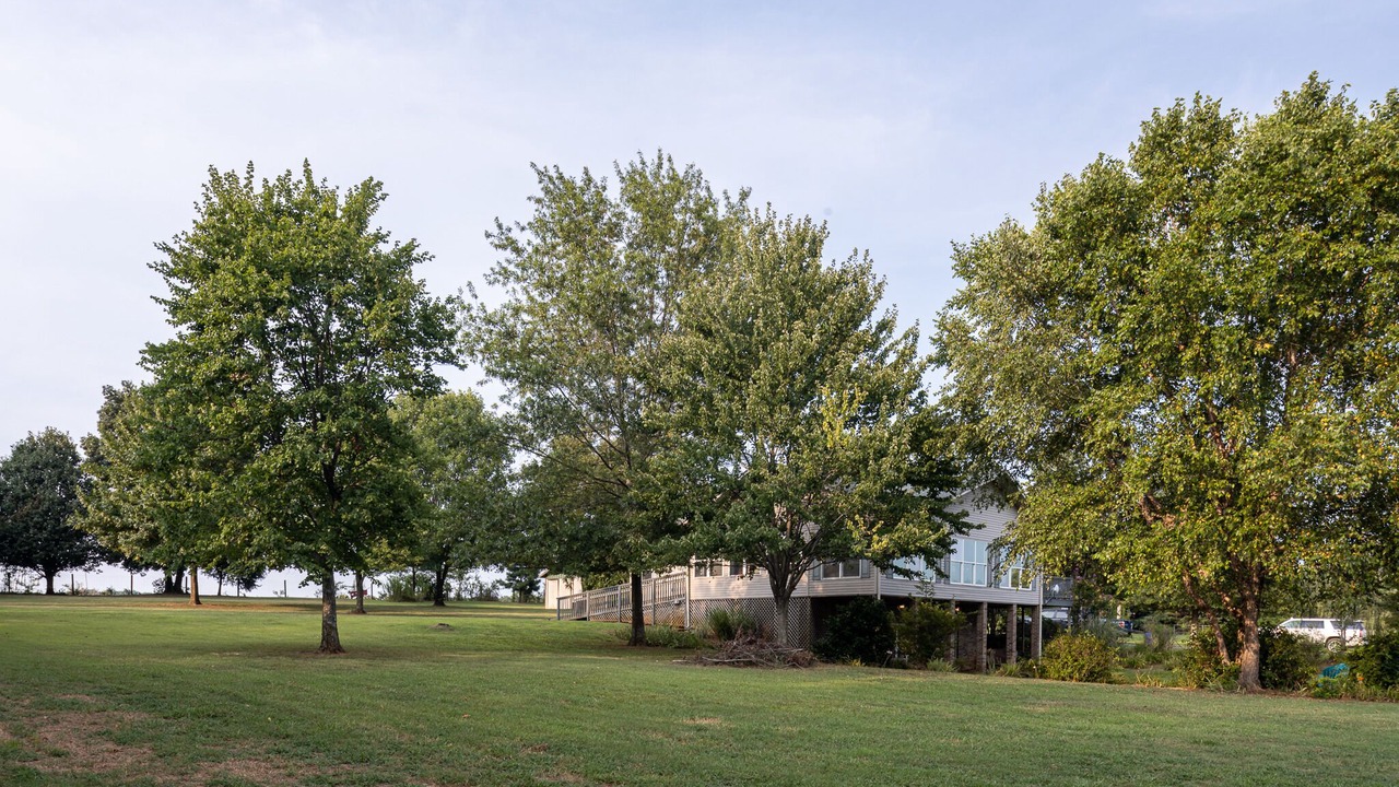 Photo of Outdoor in Rogersville