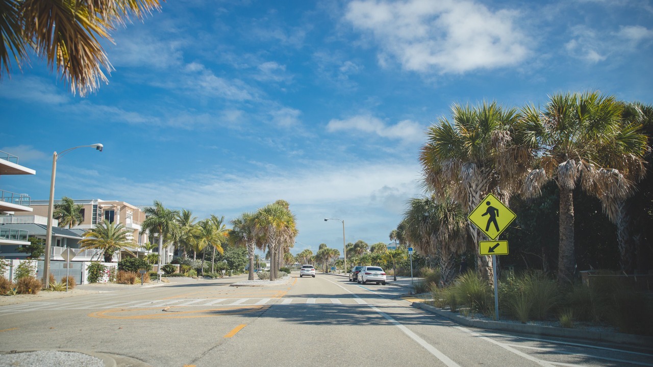 Photo of Others in South Sarasota
