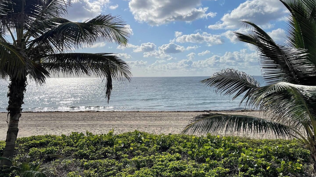 Photo of Others in Lauderdale-by-the-Sea