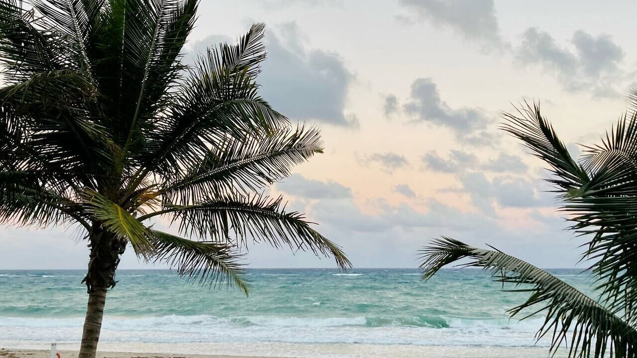 Photo of Others in Lauderdale-by-the-Sea