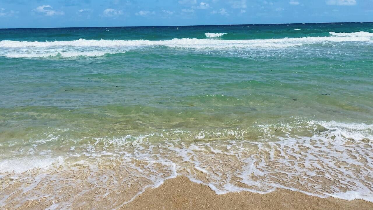 Photo of Others in Lauderdale-by-the-Sea
