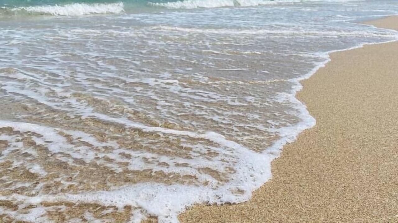 Photo of Others in Lauderdale-by-the-Sea