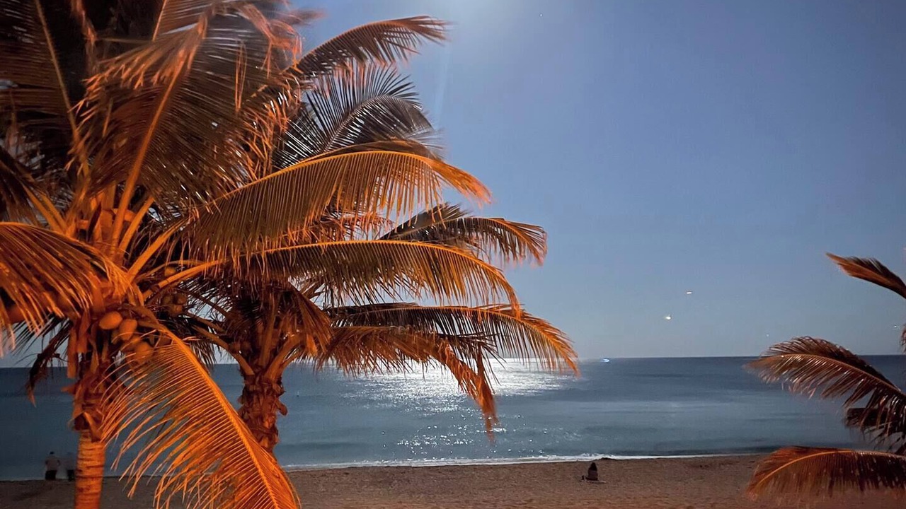 Photo of Others in Lauderdale-by-the-Sea