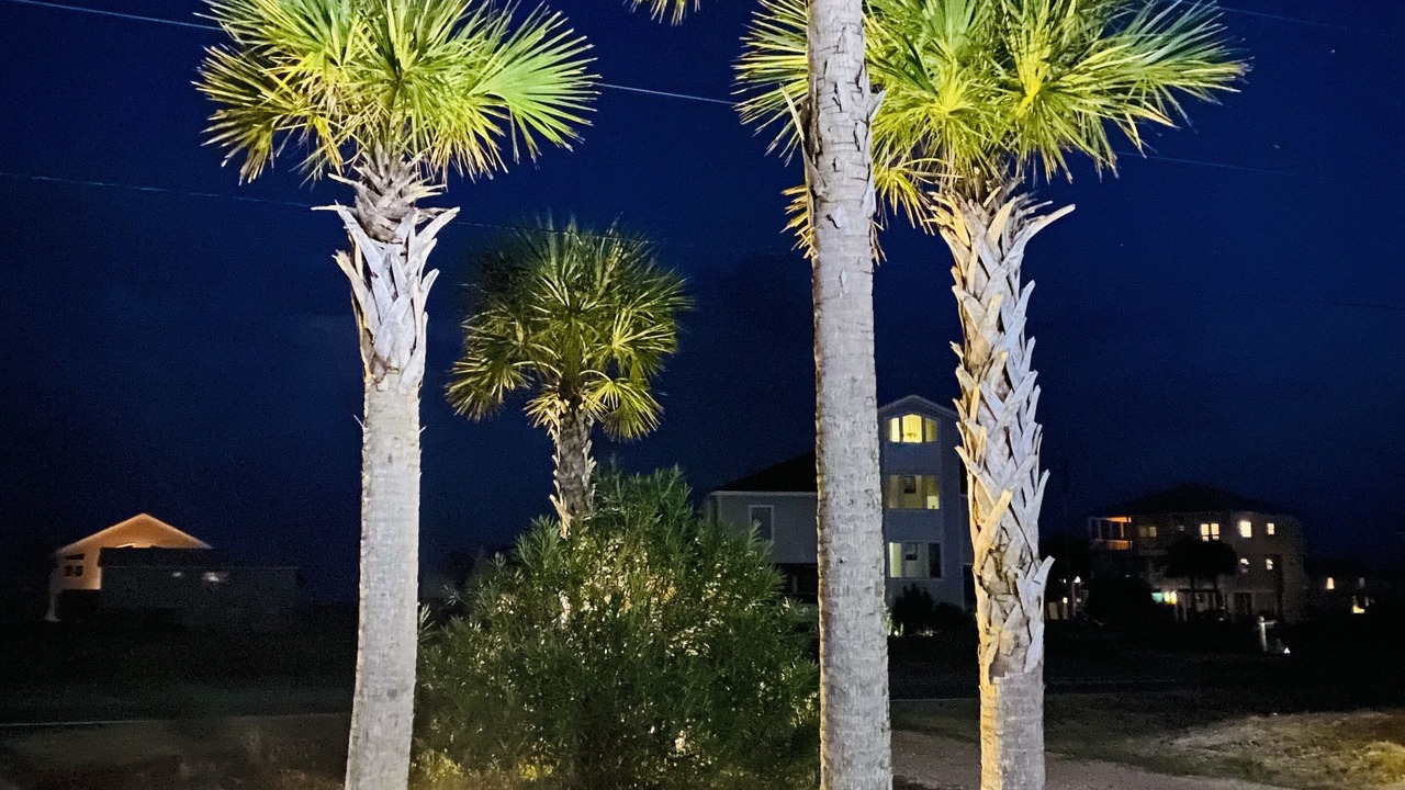 Photo of Outdoor in East End