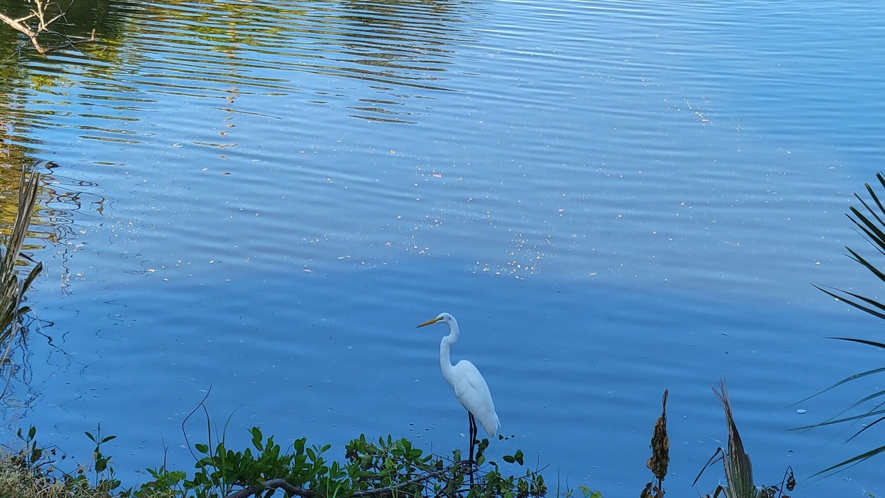 Photo of Others in Edgewater