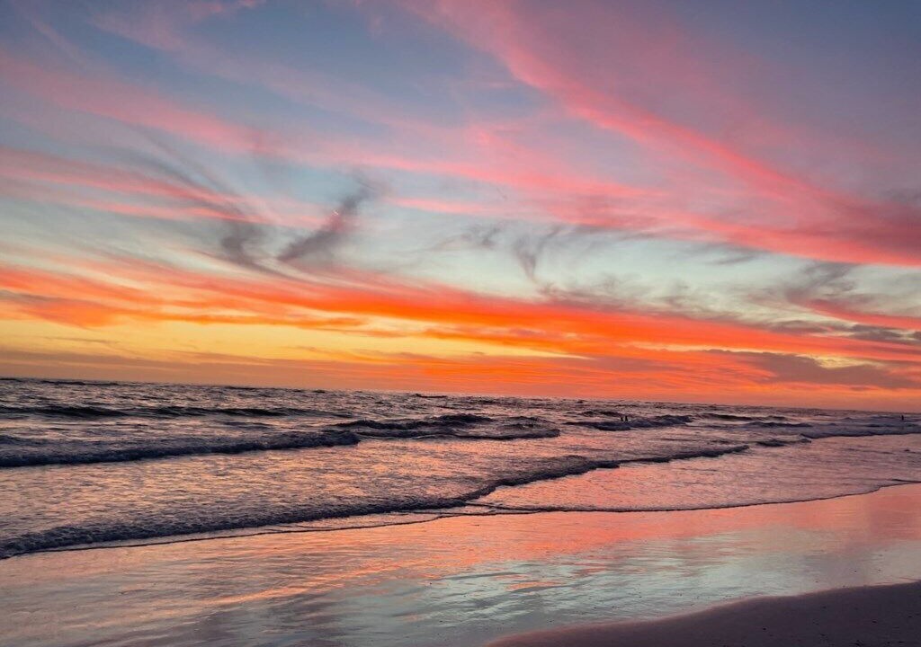 Photo of Others in Siesta Key