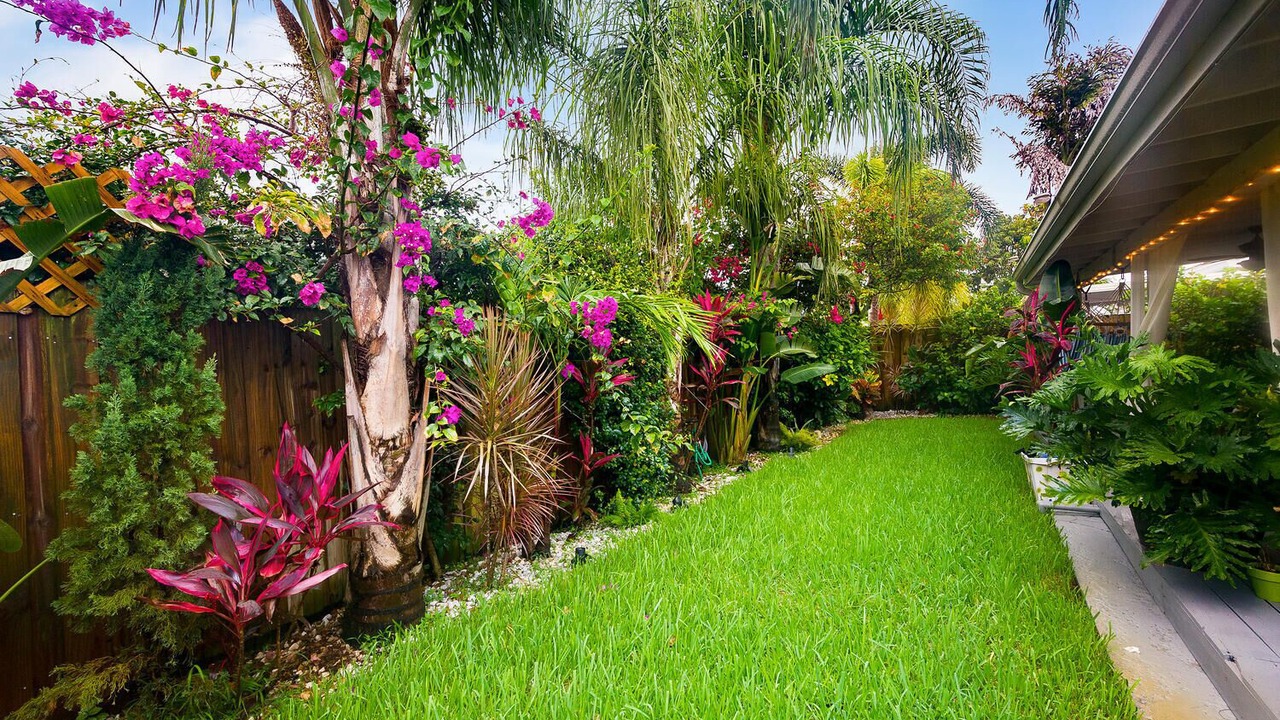 Photo of Outdoor in North Andrews Gardens