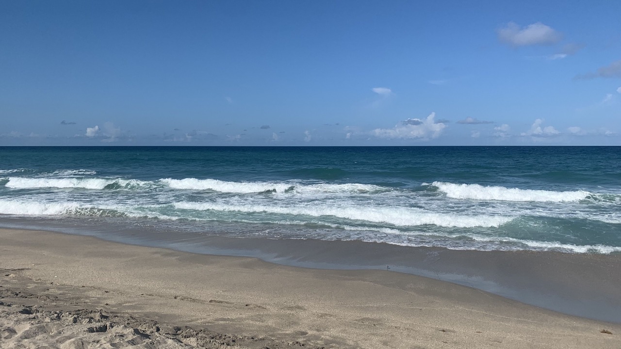 Photo of Others in Jensen Beach