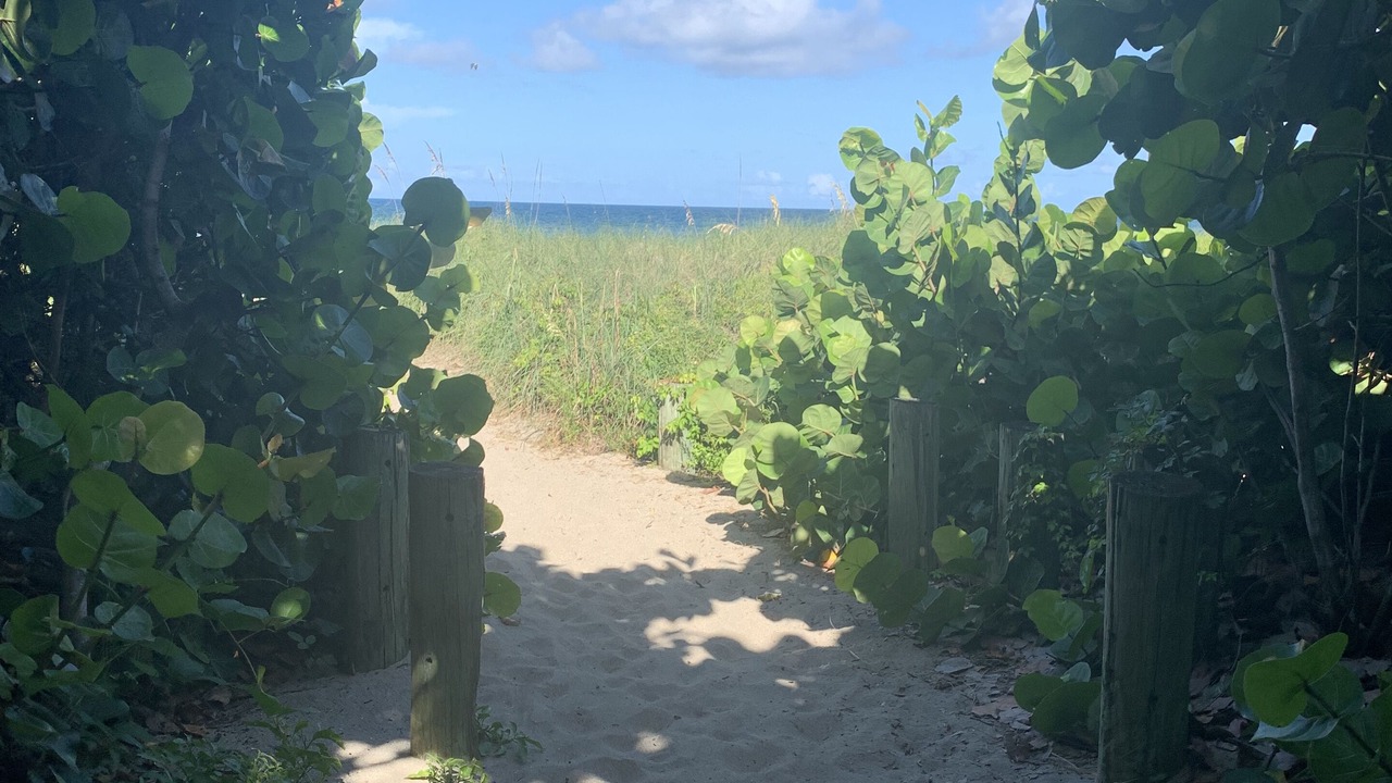Photo of Others in Jensen Beach