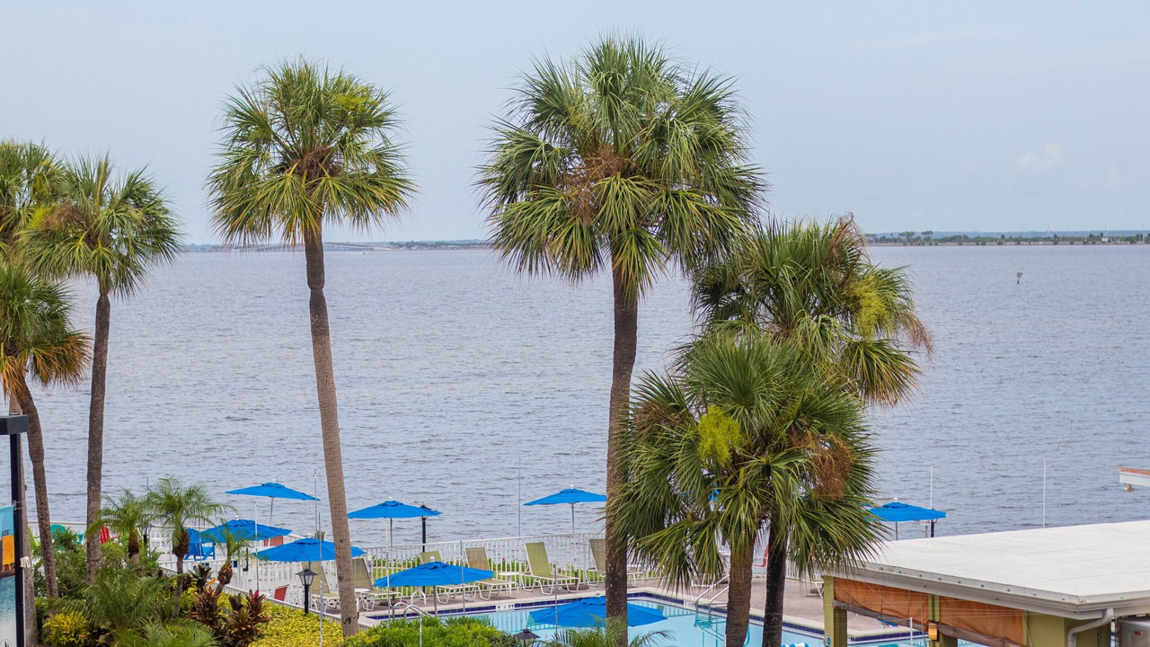 Photo of Outdoor in Rocky Point