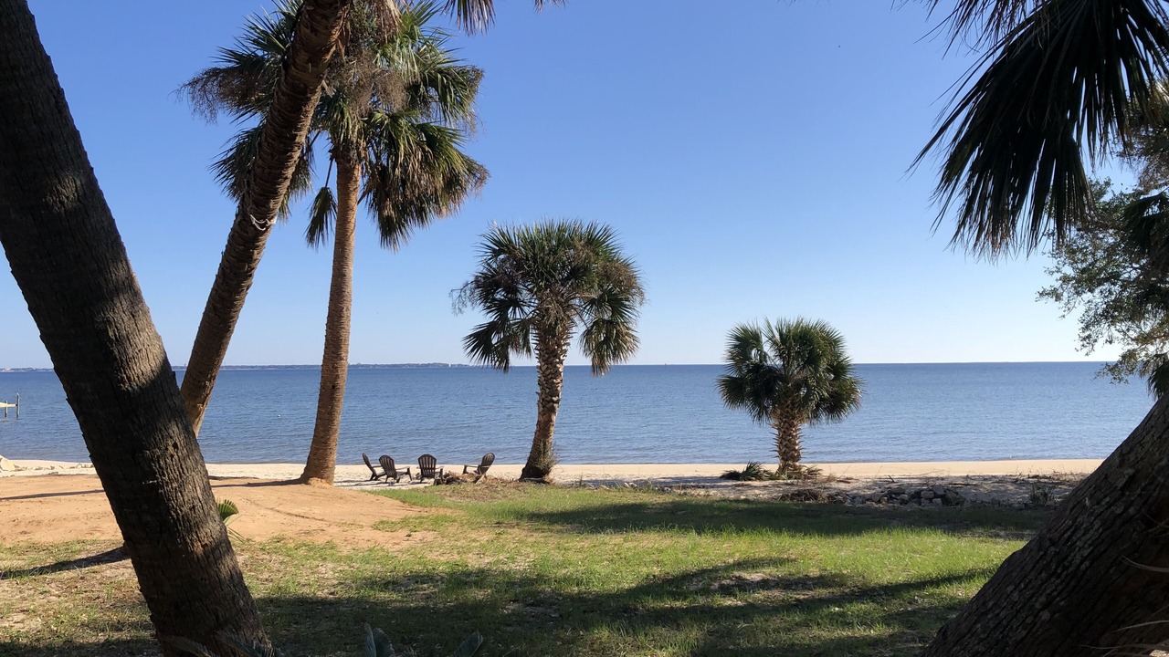 Photo of Others in Sanders Beach