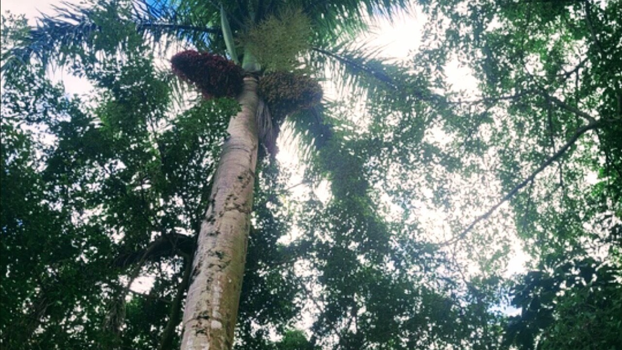 Photo of Outdoor in Homestead
