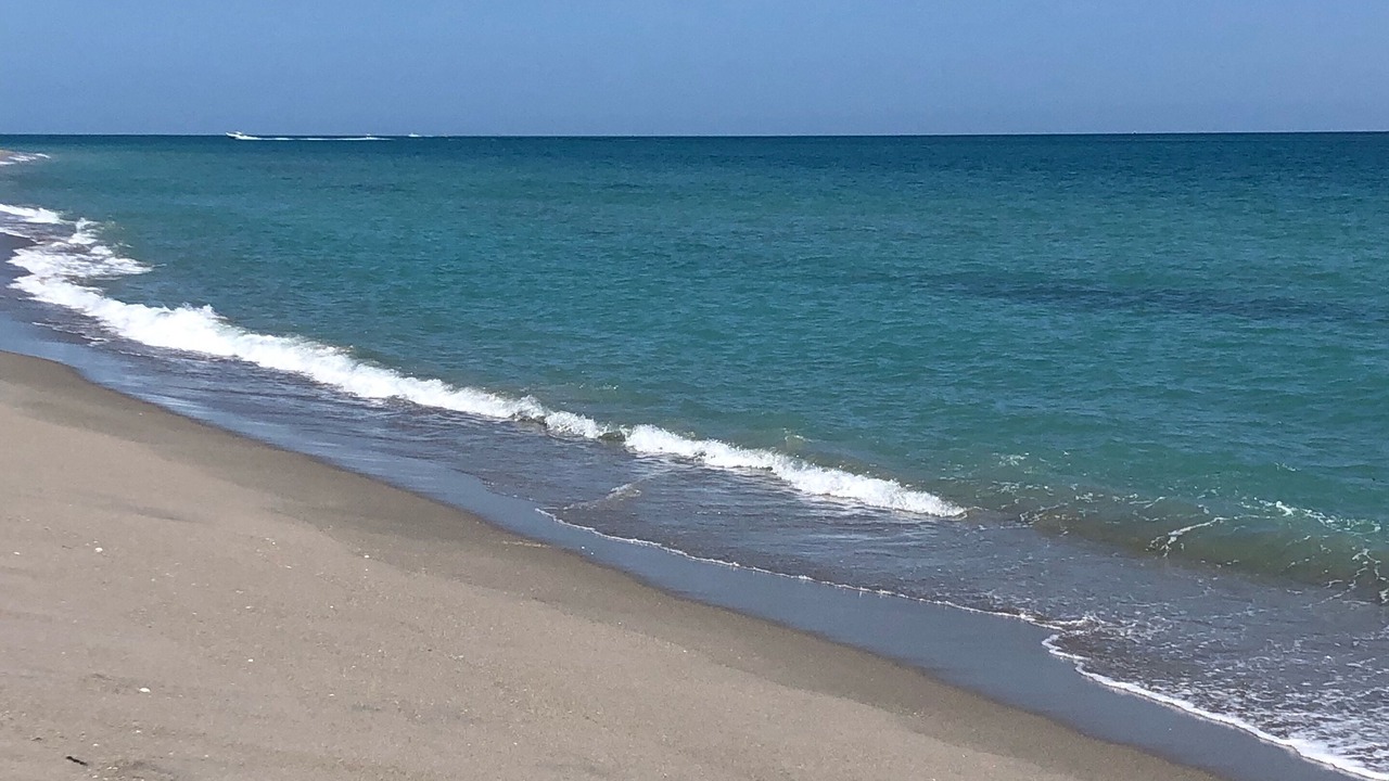 Photo of Others in Jensen Beach