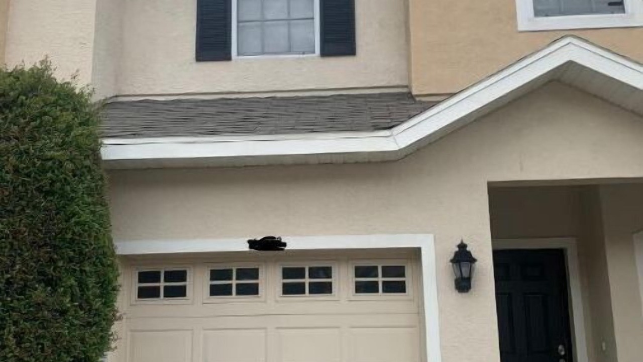 Photo of Outdoor in Tampa