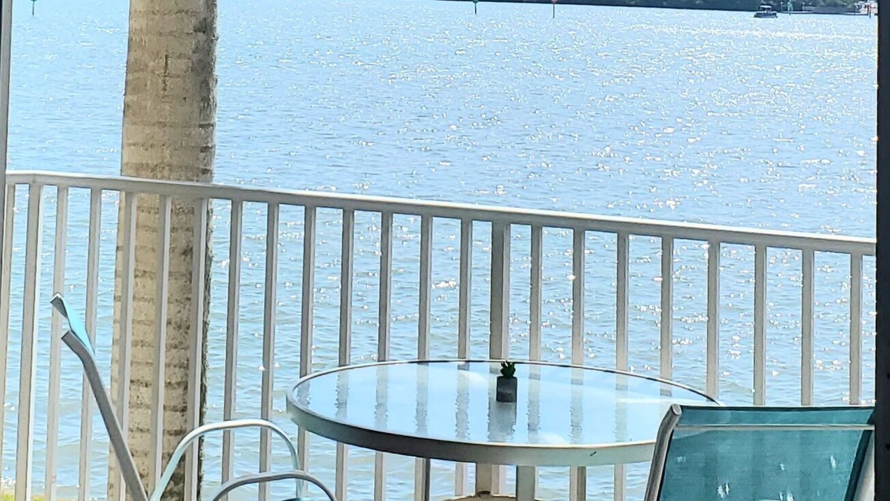 Photo of Outdoor in St. Petersburg - Clearwater