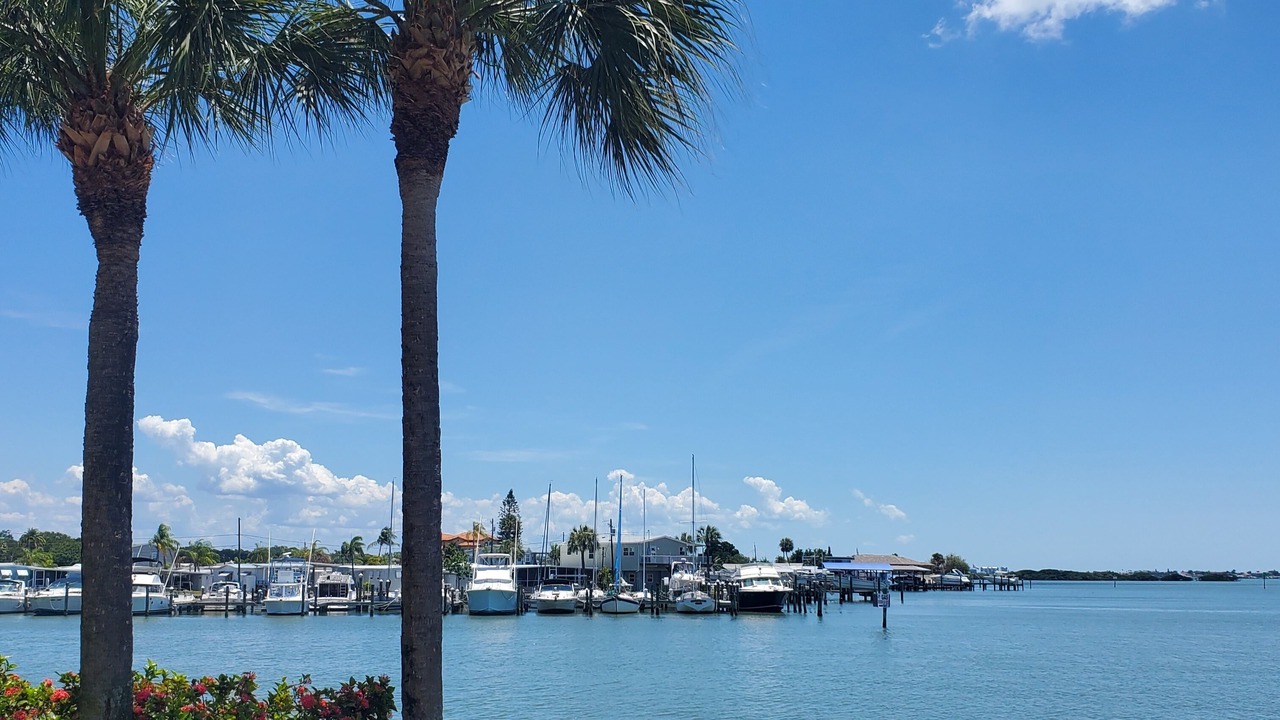 Photo of Others in St. Petersburg - Clearwater
