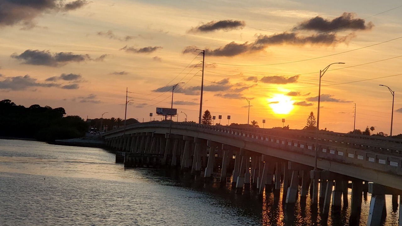 Photo of Others in St. Petersburg - Clearwater