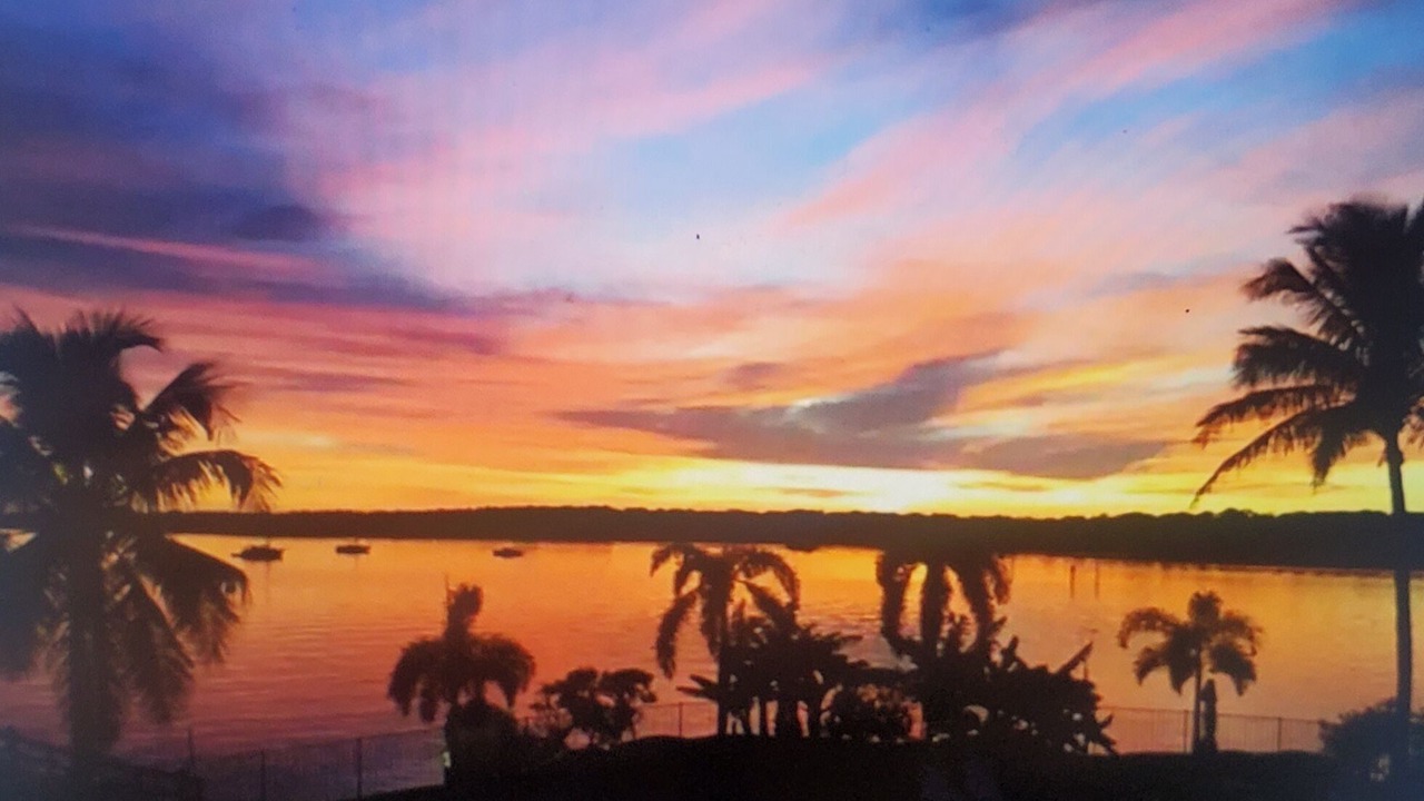 Photo of Outdoor in St. Petersburg - Clearwater