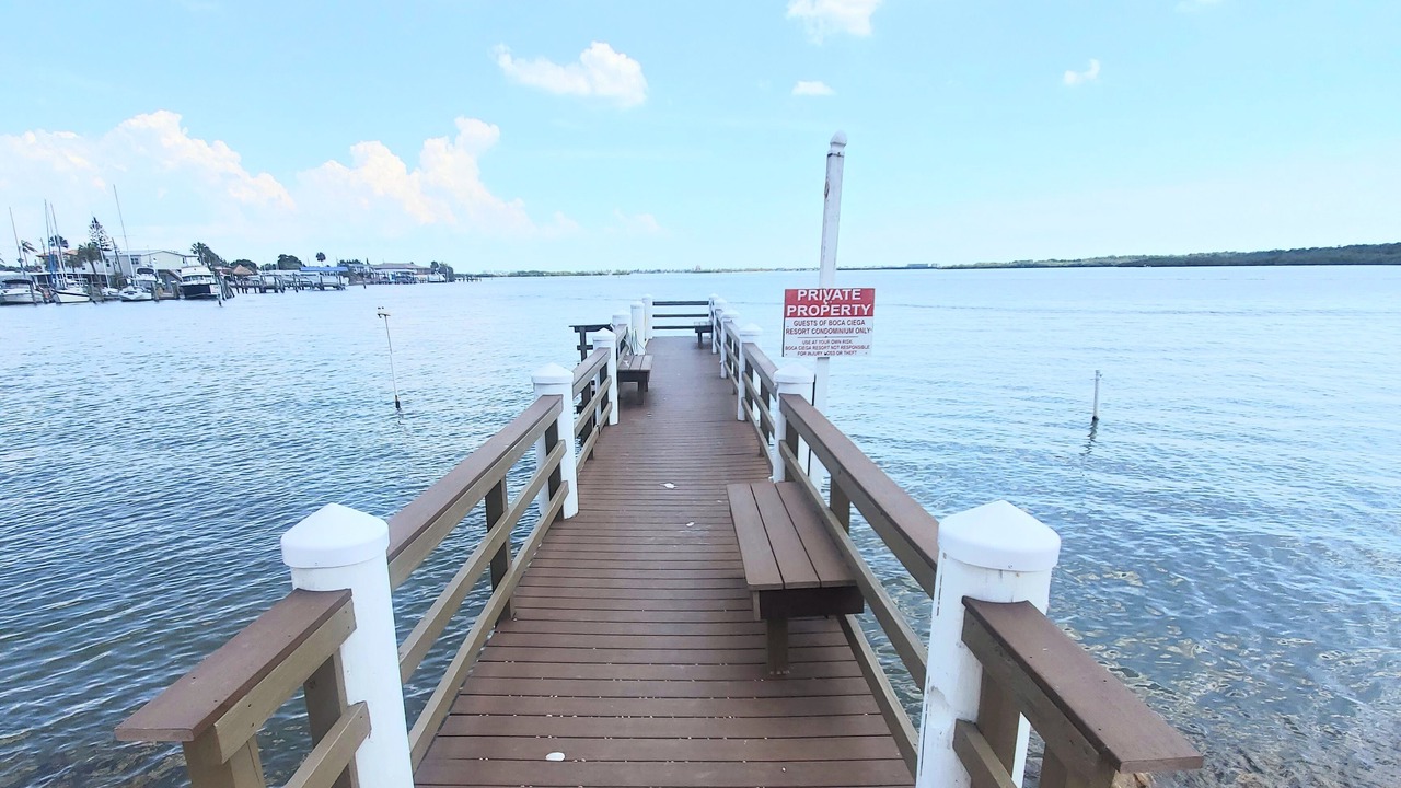 Photo of Others in St. Petersburg - Clearwater