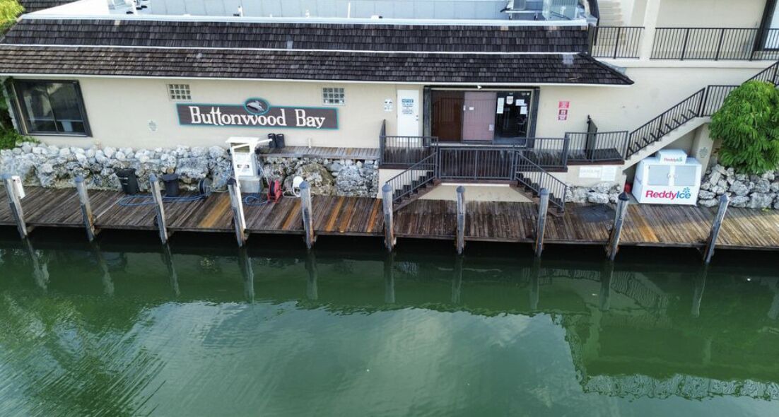 Photo of Others in Key Largo