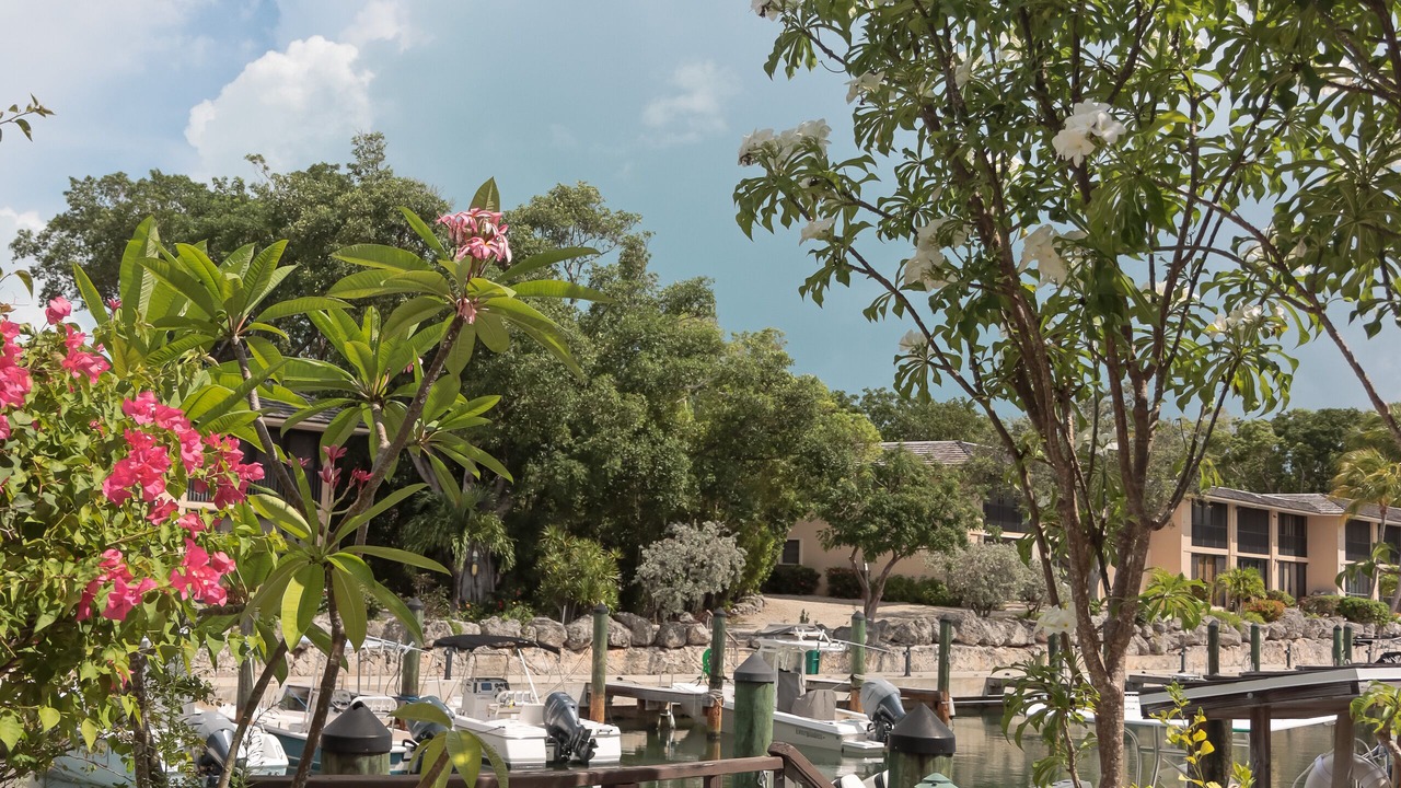 Photo of Outdoor in Key Largo