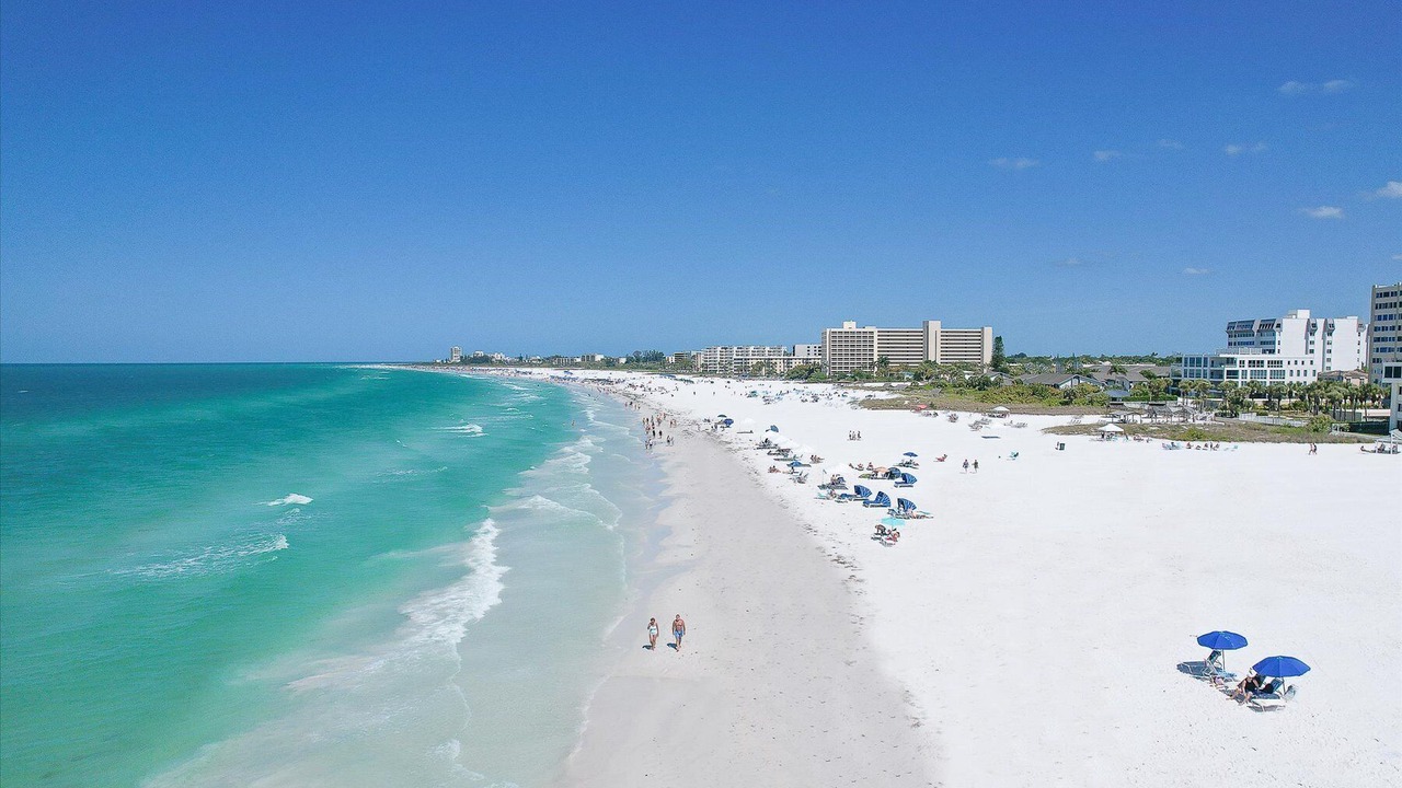 Photo of Others in Siesta Key