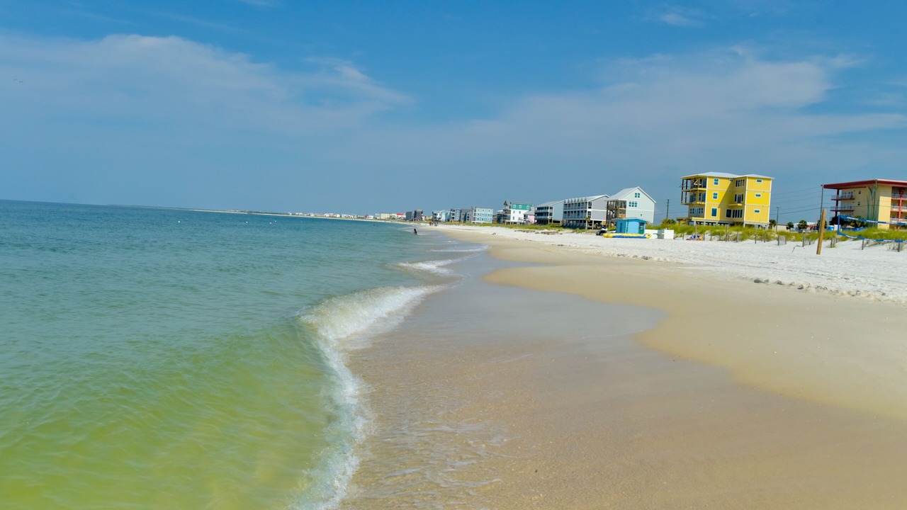 Photo of Others in Mexico Beach
