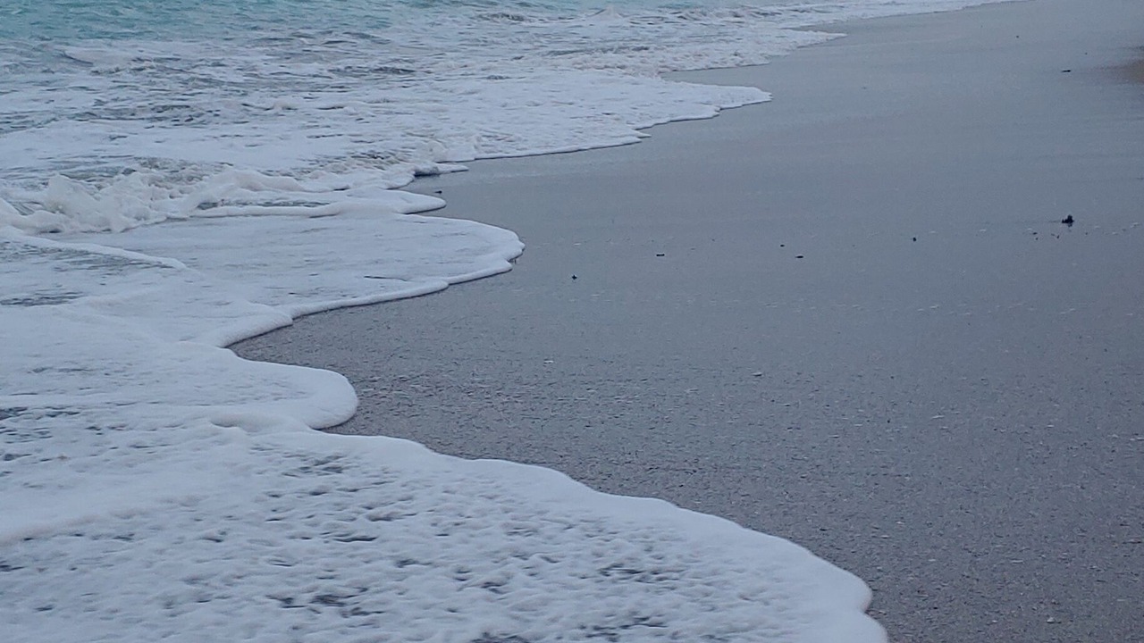 Photo of Others in Nettles Island