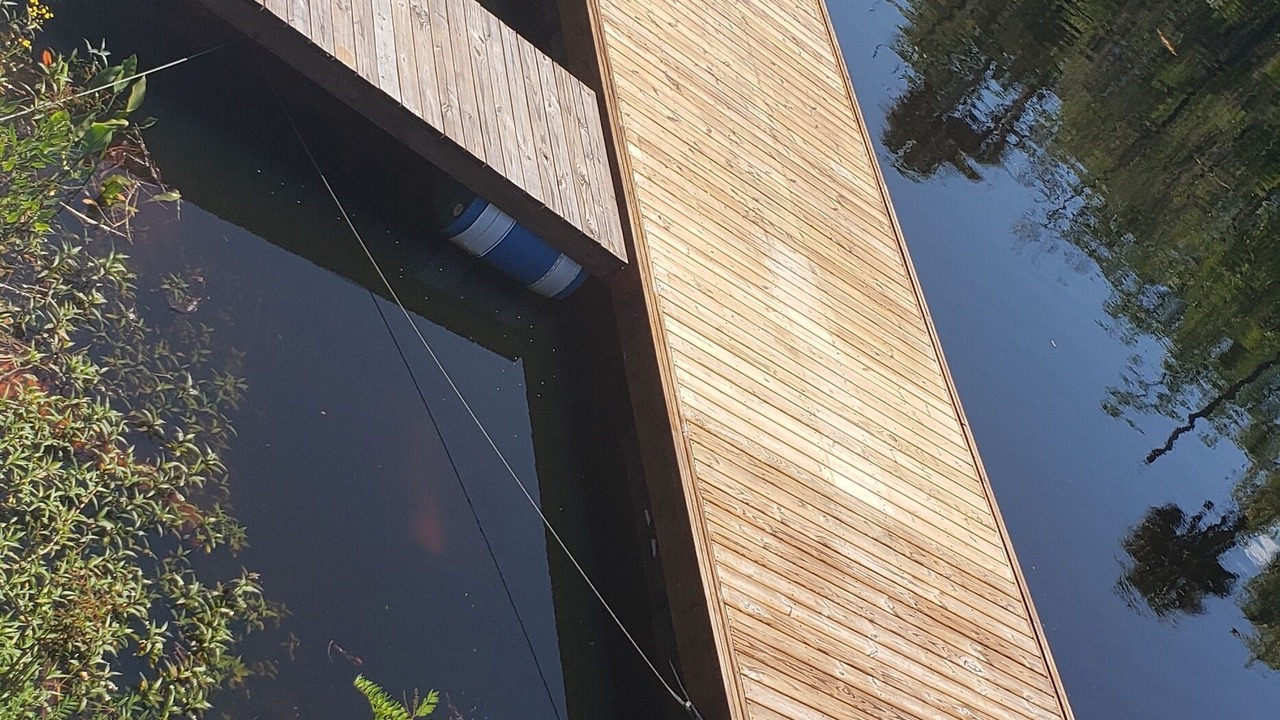 Photo of Outdoor in Steinhatchee