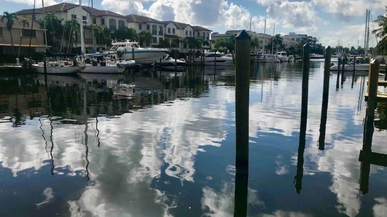 Photo of Others in Hendricks and Venice Isles