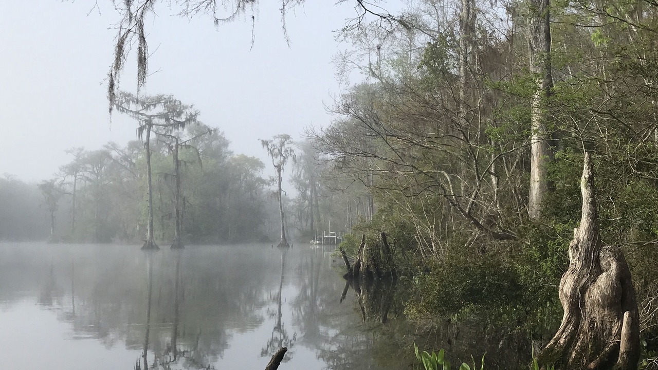 Photo of Others in Crawfordville