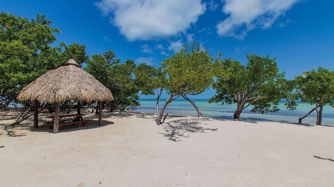 Photo of Others in Islamorada