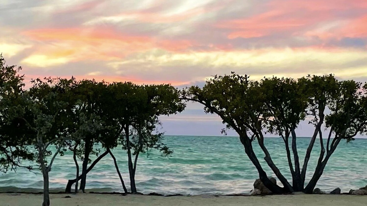 Photo of Others in Islamorada