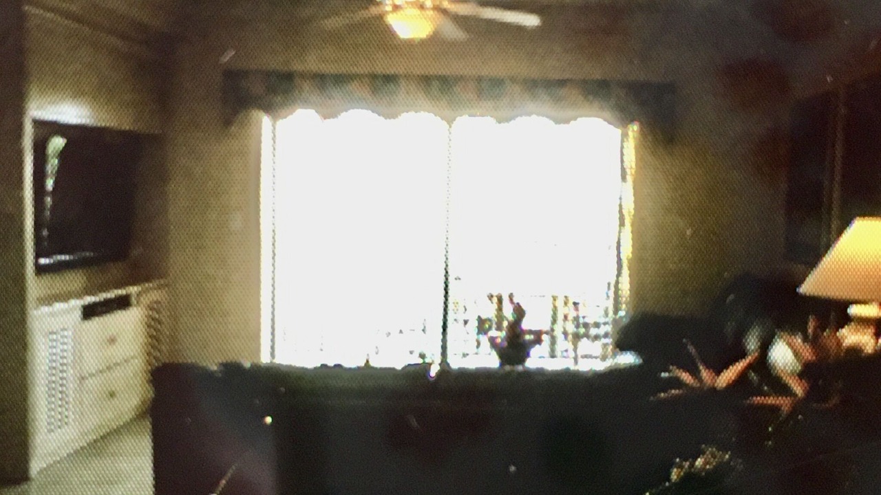 Photo of Others in Florida Central Atlantic Coast