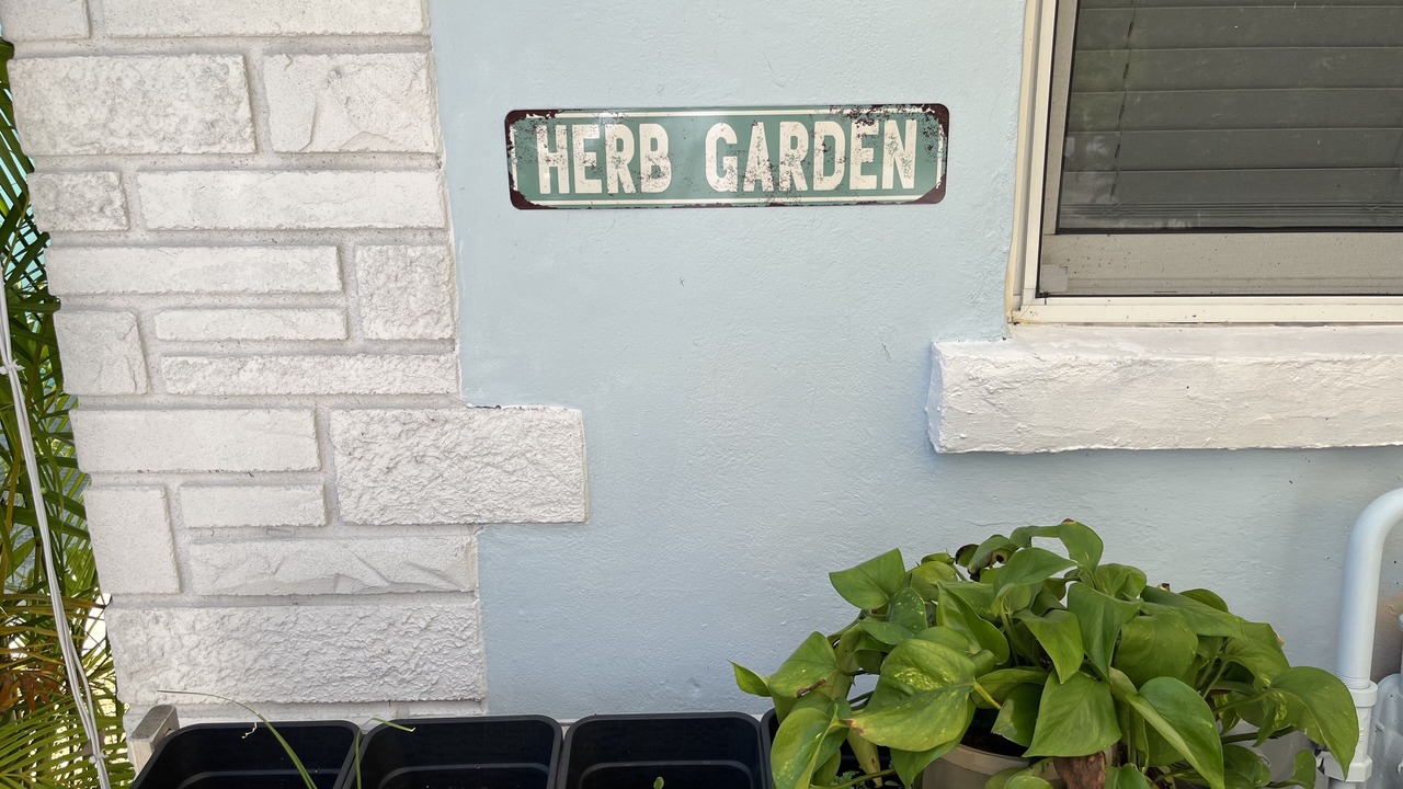Photo of Outdoor in Lake Worth