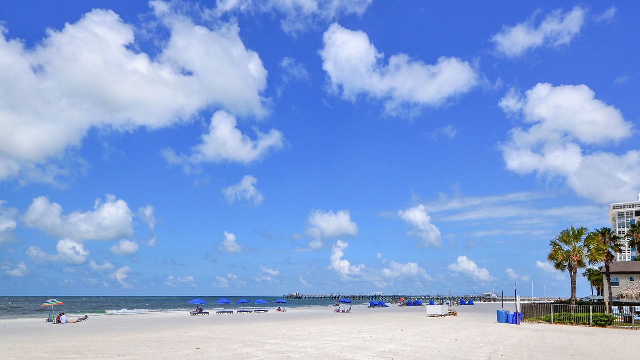 Photo of Others in North Redington Beach