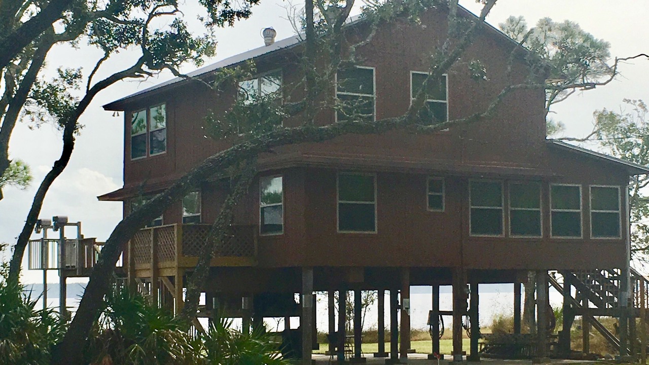 Photo of Outdoor in Ochlockonee Bay