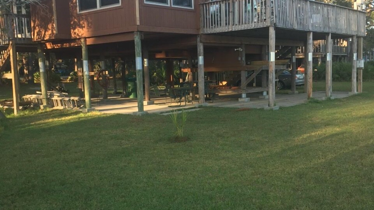 Photo of Others in Ochlockonee Bay