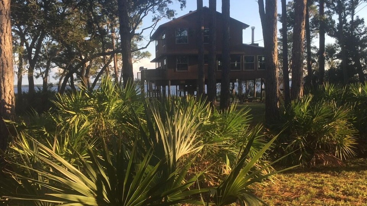 Photo of Others in Ochlockonee Bay